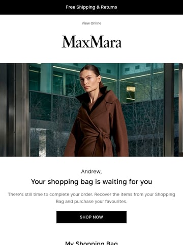 Email Inspiration from Max Mara Thumbnail Preview