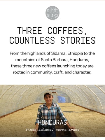 Email Inspiration from Sightglass Coffee Thumbnail Preview