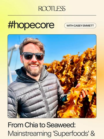 Email Inspiration from Rootless Thumbnail Preview