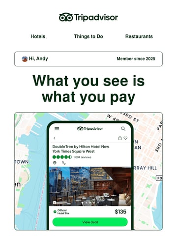 Email Inspiration from Tripadvisor Thumbnail Preview