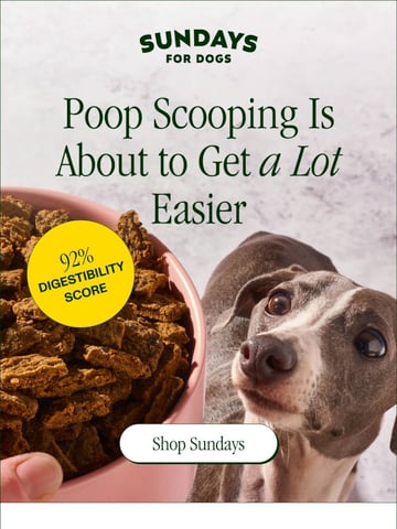 Email Inspiration from Sundays for Dogs Thumbnail Preview