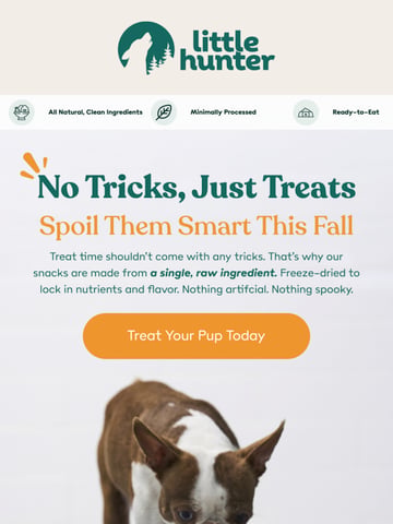 Email Inspiration from Little Hunter Thumbnail Preview