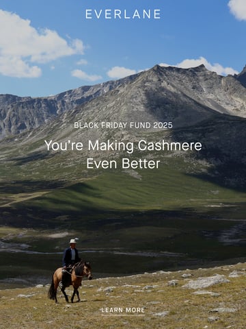 Email Inspiration from Everlane Thumbnail Preview