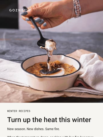 Email Inspiration from Gozney Thumbnail Preview