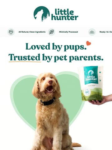 Email Inspiration from Little Hunter Thumbnail Preview
