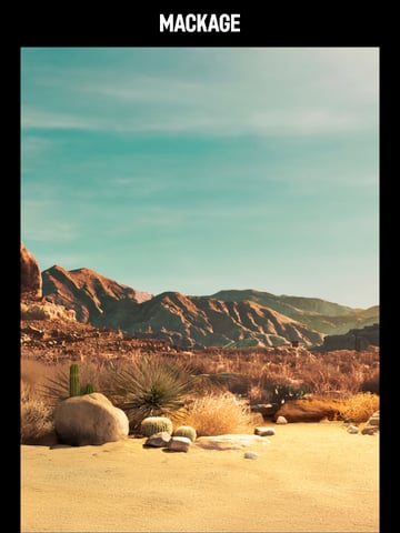 Email Inspiration from MACKAGE Thumbnail Preview