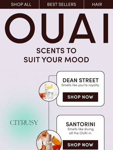 Email Inspiration from OUAI Thumbnail Preview