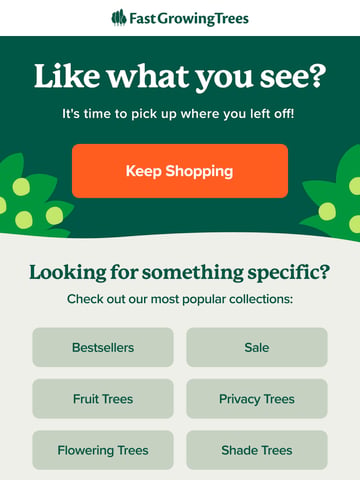 Email Inspiration from Fast-Growing-Trees.com Thumbnail Preview