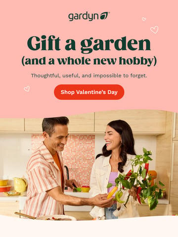 Email Inspiration from Gardyn Thumbnail Preview