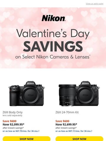 Email Inspiration from Nikon Store Thumbnail Preview