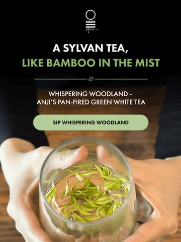 Email Inspiration from O5 Tea | Bailey, Geoff & Daniel Thumbnail Preview
