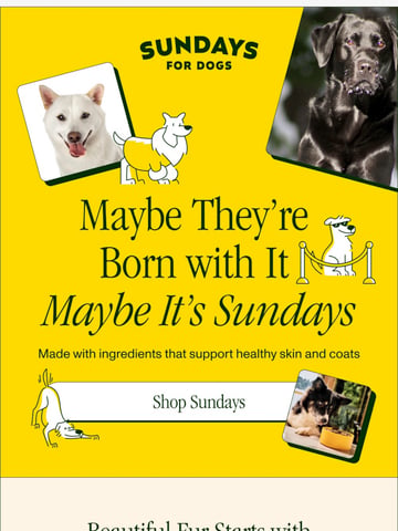 Email Inspiration from Sundays for Dogs Thumbnail Preview
