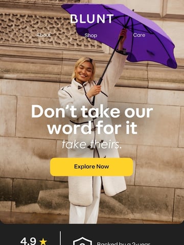 Email Inspiration from BLUNT Umbrellas US Thumbnail Preview