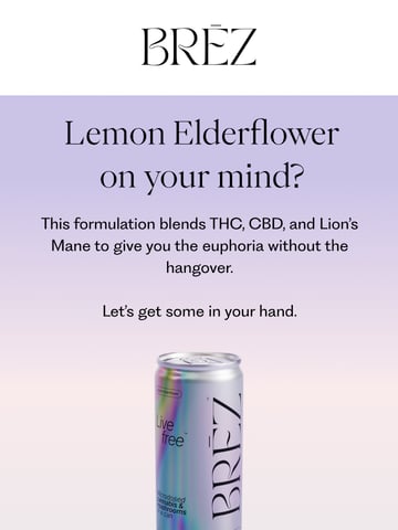 Email Inspiration from BRĒZ Thumbnail Preview