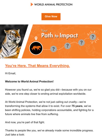 Email Inspiration from Cameron Harsh, World Animal Protection US Thumbnail Preview