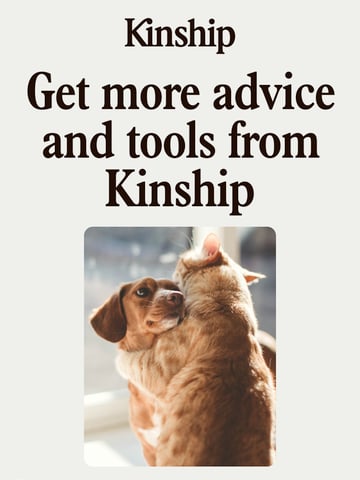 Email Inspiration from Kinship Thumbnail Preview