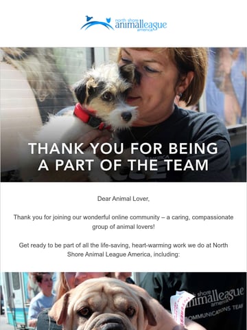 Email Inspiration from North Shore Animal League America Thumbnail Preview