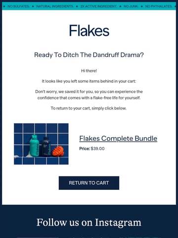 Flakes Email Design Thumbnail Preview