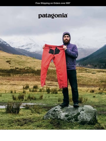 Patagonia Cart Abandonment Email Thumbnail Preview