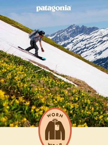 Patagonia Email Design Thumbnail Preview