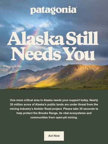 Patagonia Email Design Thumbnail Preview