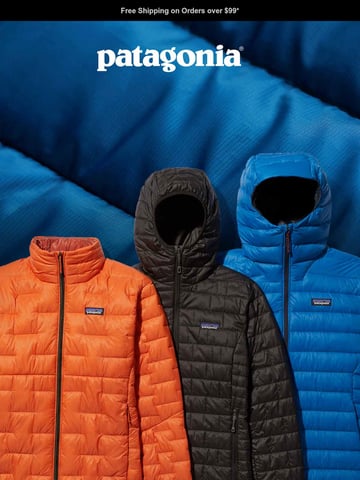 Patagonia Email Design Thumbnail Preview