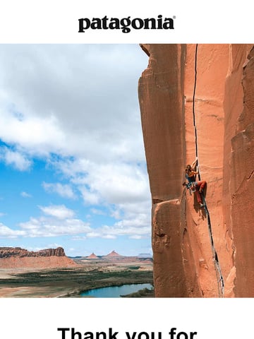 Patagonia Order Confirmation Email Thumbnail Preview