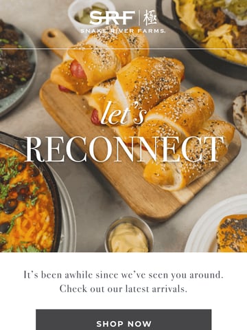 Snake River Farms Re-Engagement Email Design Thumbnail Preview