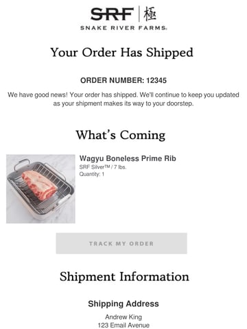 Snake River Farms Shipping Email Design Thumbnail Preview
