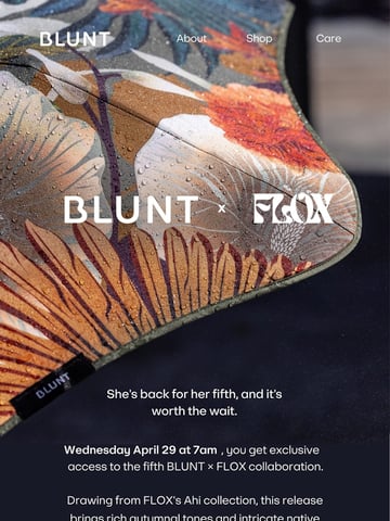 Email Inspiration from BLUNT Umbrellas US Thumbnail Preview