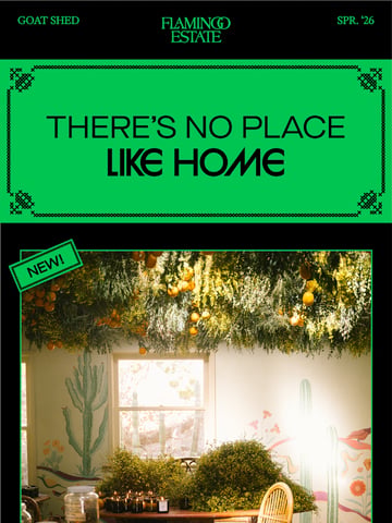 Email Inspiration from Flamingo Estate Thumbnail Preview