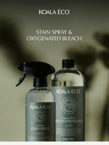 Email Inspiration from Koala Eco USA Thumbnail Preview