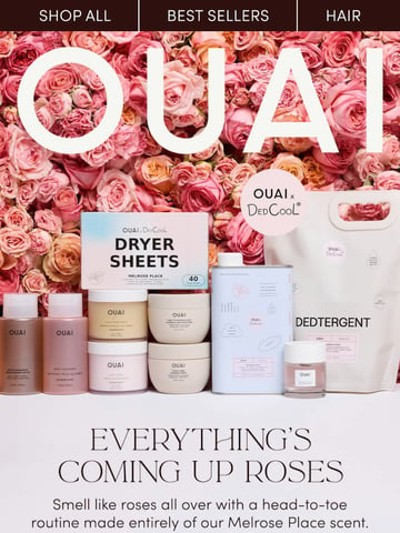 Email Inspiration from OUAI Thumbnail Preview