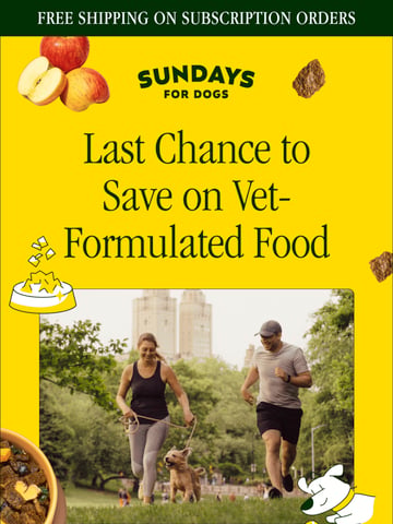 Email Inspiration from Sundays for Dogs Thumbnail Preview
