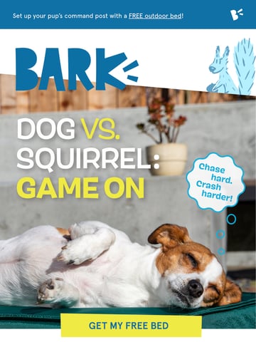 Email Inspiration from BARK Thumbnail Preview