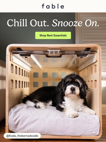 Email Inspiration from Fable Thumbnail Preview
