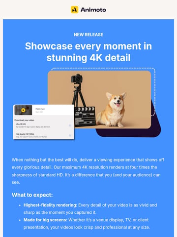 Email Inspiration from Animoto Thumbnail Preview