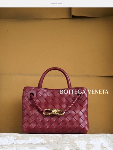 Email Inspiration from Bottega Veneta Thumbnail Preview