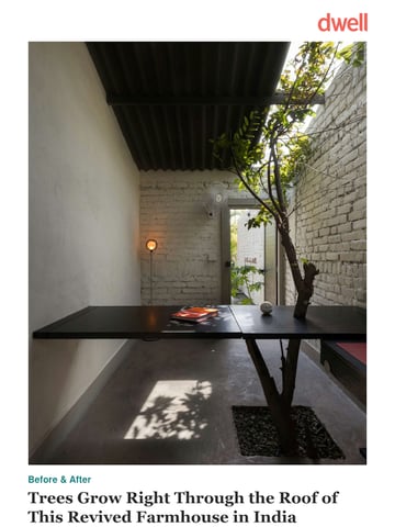 Email Inspiration from Dwell Thumbnail Preview