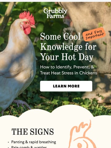 Email Inspiration from Grubbly Farms Thumbnail Preview