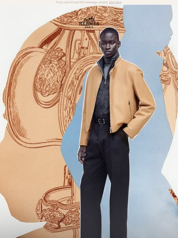 Email Inspiration from Hermès Thumbnail Preview