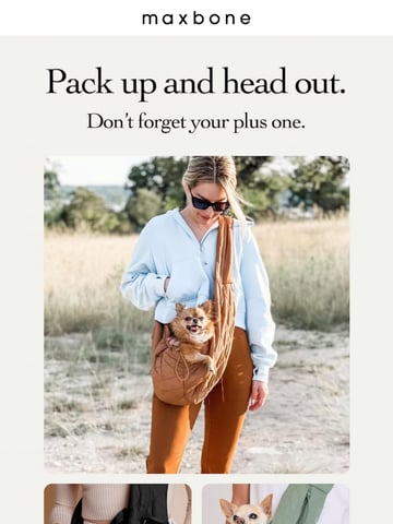 Email Inspiration from maxbone Thumbnail Preview
