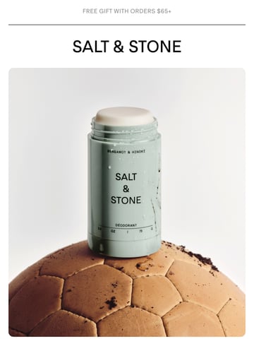 Email Inspiration from SALT & STONE Thumbnail Preview