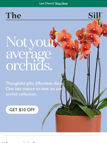 Email Inspiration from The Sill Thumbnail Preview