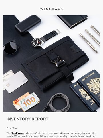Email Inspiration from Wingback Thumbnail Preview