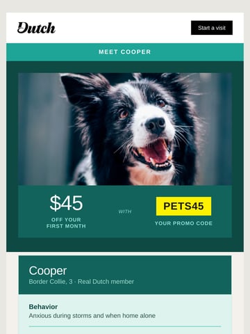 Email Inspiration from Dutch Vet Thumbnail Preview