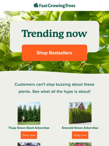 Email Inspiration from Fast-Growing-Trees.com Thumbnail Preview
