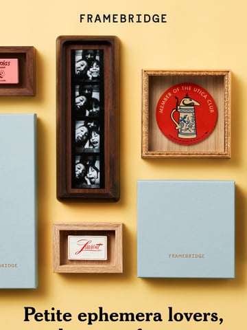 Email Inspiration from Framebridge Thumbnail Preview