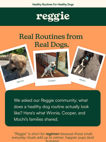 Email Inspiration from Reggie Thumbnail Preview