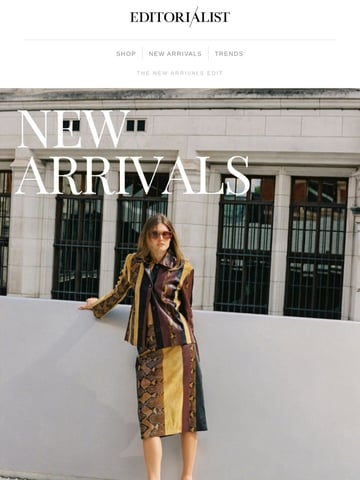 Email Inspiration from Editorialist Thumbnail Preview